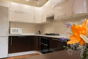 Квартира двухкомнатная возле Запорожской площади. Люкс 4-местный возле Запорожской площади 9