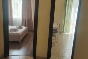 Квартира ул. Беляева Космонавта 5/56. Апартаменты трехместный  4