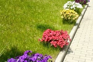 в новобудові Центр, проспект Соборний 15